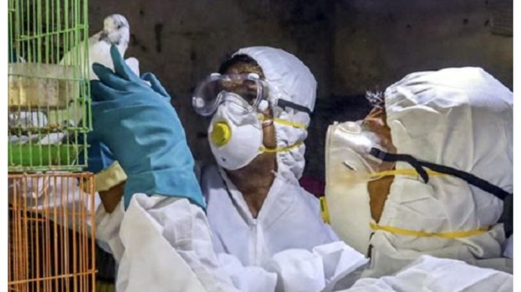 China raportează primul caz din lume de gripă aviară H10N3 la oameni