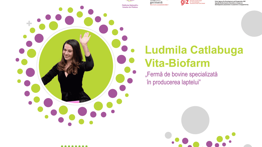 FOTO Afacere profitabilă în domeniul zootehnic! Istoria antreprenoarei Ludmila Catlabuga din satul Visoca