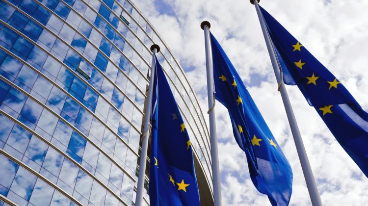 Ajutor din partea Uniunii Europene! 45 de milioane de euro sunt acordate Ucrainei și 5 milioane Republicii Moldova