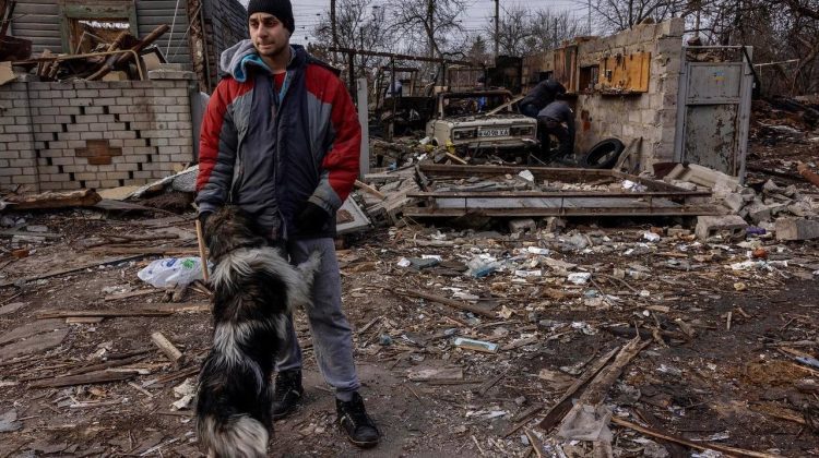 Soldații ruși au omorât câinii din Ucraina și i-au mâncat! Ies la iveală noi informații zguduitoare