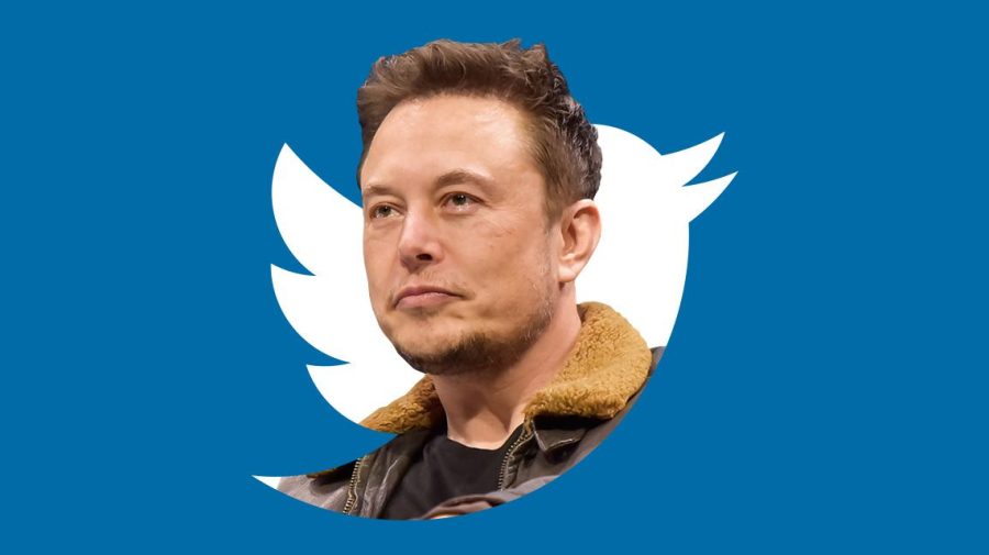 Twitter a rămas fără păsărică! Semnul pentru care Musk a schimbat-o