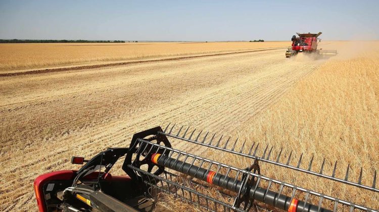 Și Bulgaria ar putea interzice importul de cereale din Ucraina. România și Cehia intervin pentru mediere