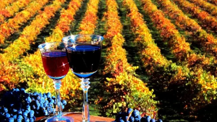 Cea mai importantă piață – România. În anul 2021 vinurile din Republica Moldova au ajuns în 71 de țări