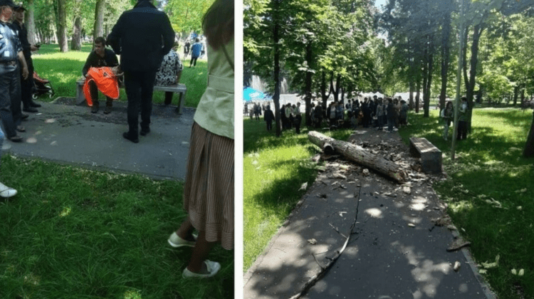 Un copil de doi ani a murit după ce peste el a căzut o creangă în parcul „Alunelul”. Reacția Primăriei Chișinău