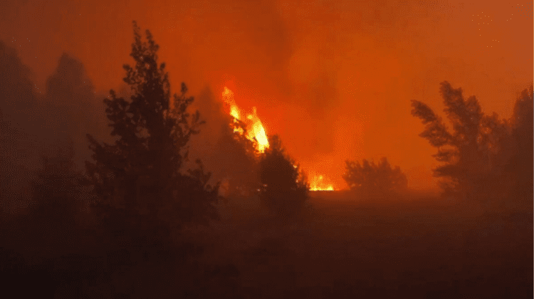 VIDEO Imaginea infernului: Un incendiu puternic a cuprins hectare de vegetație la circa 50 de kilometri de Cernobîl.