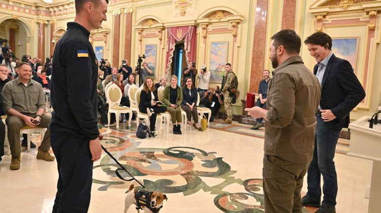 Câinele-erou de pe frontul din Cernihiv care a ajutat militarii să găsească mine lăsate de ruși, decorat de Zelenski