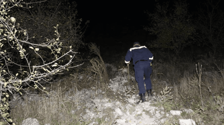 Nu găseau drumul spre casă! Salvatorii au găsit doi minori care s-au rătăcit într-o pădure din Șoldănești