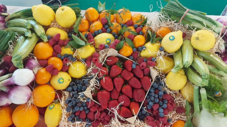 Fructele de pădure care fac minuni pentru sănătate! Vezi lista