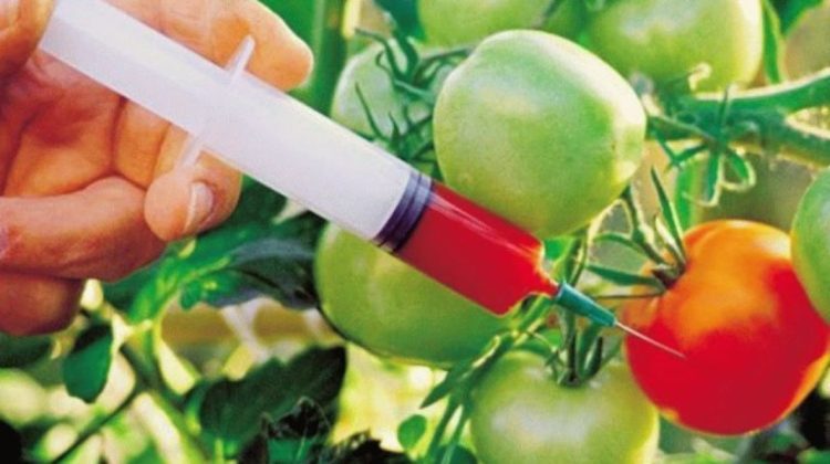 Produsele cu organisme modificate genetic vor reglementate de legislația națională. Responsabilitatea va reveni ANSA