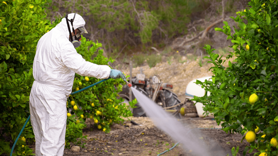 Pesticidele – periculoase pentru sănătate! Cel mai mare grad de intoxicare este înregistrat în cazul copiilor