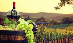 Prețul unui litru de vin moldovenesc s-a dublat în ultimii 9 ani. Ce spune ministul Agriculturii despre acest fenomen