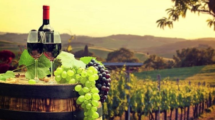 Prețul unui litru de vin moldovenesc s-a dublat în ultimii 9 ani. Ce spune ministul Agriculturii despre acest fenomen