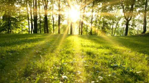 Prognoza meteo pentru 13 august: Cer variabil și temperaturi de până la 28 de grade