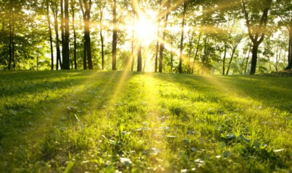Prognoza meteo pentru 13 august: Cer variabil și temperaturi de până la 28 de grade