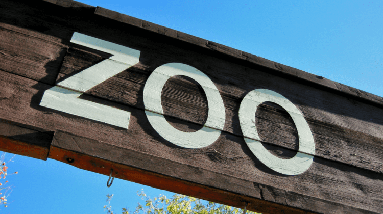 De ziua lor – gratis la Zoo. Copiii până la 16 ani vor avea acces liber la Grădina Zoologică din Capitală