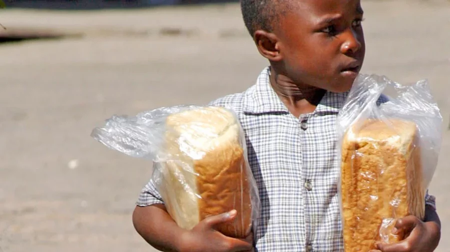 „Războiul mondial al pâinii este deja în desfăşurare”. Pot izbucni noi conflicte