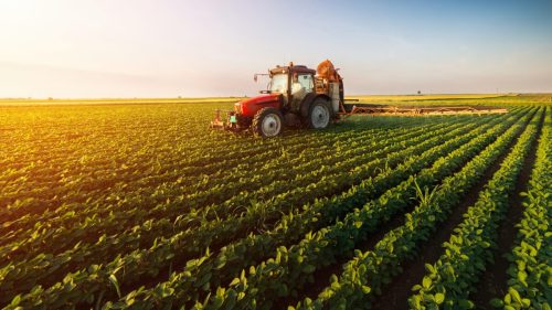 285 de agricultori din țară au accesat Creditul Agricol de Urgență garantat de stat