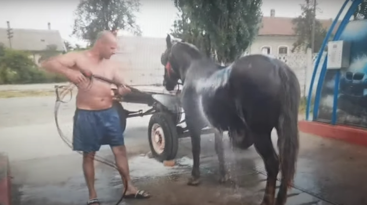 VIDEO Orice „mijloc de transport” trebuie îngrijit! Un individ a dat buzna la spălătoria auto pentru a-și răcori calul
