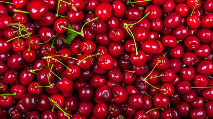 Fructele noastre tot mai apreciate! Republica Moldova a exportat o cantitate record de cireșe