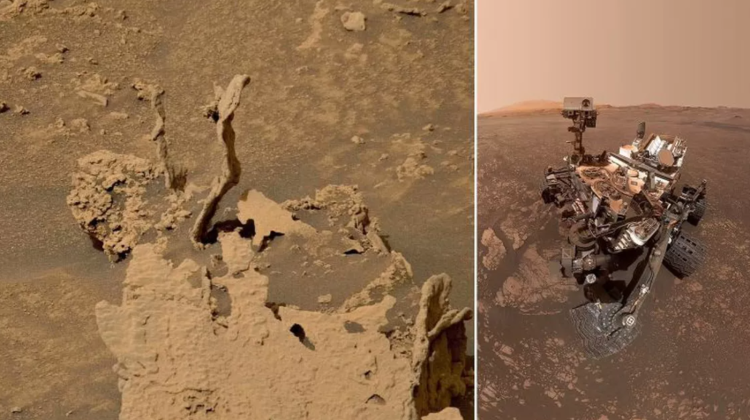 Roverul Curiosity a găsit pe Marte niște stânci cu aspect ciudat. Ce sunt, de fapt