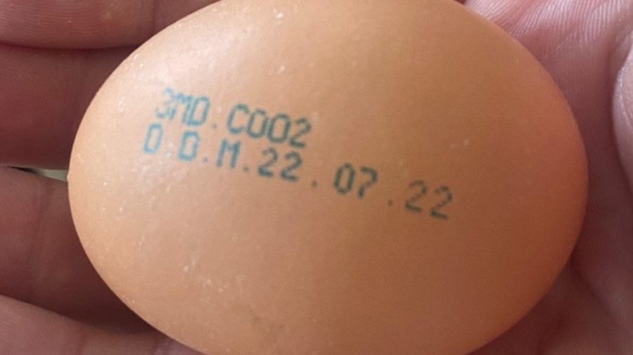 Atenționare de la ANSA. Un producător de ouă își retrage un lot din comercializare. La găini a fost depistate salmonela