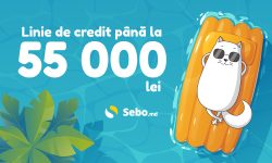 Cu Credit Line de la SEBO ai până la 55 000 de lei