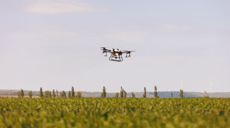 VIDEO Dronele agricole – tot mai folosite de agricultorii din Moldova. Avantajele pe care le oferă