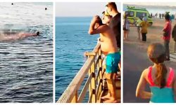 18+ Egiptul închide plaje, după ce o femeie a fost sfâșiată de un rechin. IMAGINI CU IMPACT EMOȚIONAL