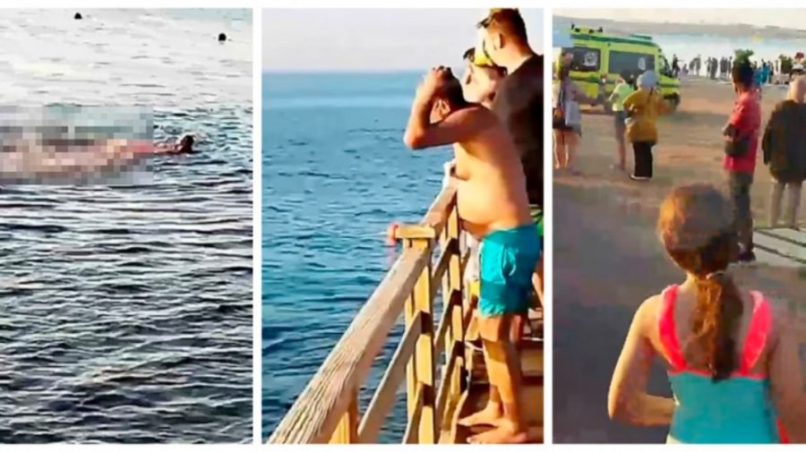 18+ Egiptul închide plaje, după ce o femeie a fost sfâșiată de un rechin. IMAGINI CU IMPACT EMOȚIONAL