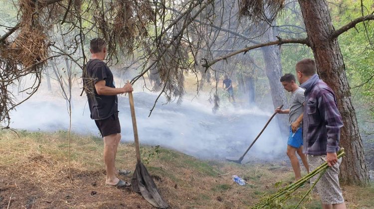 FOTO Incendiu de proporție la Căușenei! Peste 180 de hectare de vegetație au fost cuprinse de flăcări