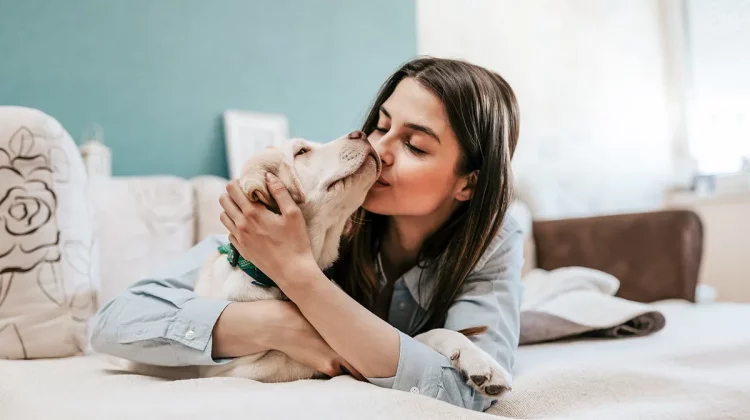 Este periculos să pupi câinii pe gură? În trecut se credea că mucusul acestui animal are proprietăți vindecătoare