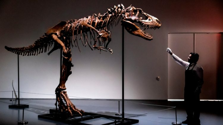 FOTO Fosila unui dinozaur, vândută cu milioane de dolari! Cumpărătorul îi va putea pune și nume