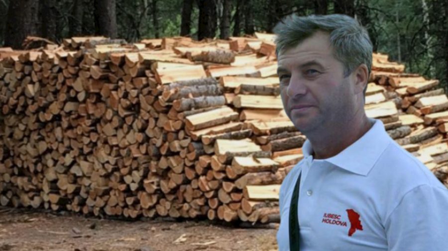 VIDEO Pregătește sania de vara? Furculiță își va căuta lemne pentru iarnă în timpul vacanței de parlamentar