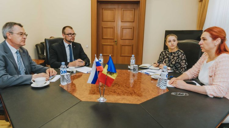 Ana Revenco s-a întâlnit cu ambasadorul Slovaciei. Au discutat despre noi posibilități de extindere a parteneriatului
