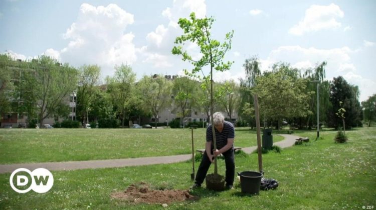 De 30 de ani, un bărbat plantează copaci, dar autoritățile îi spun că încalcă legea. Este cunoscut ca „Robin Wood”