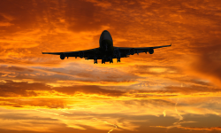 Vor călători gratuit! O companie aeriană va oferi 100 000 de bilete cetăţenilor ucraineni