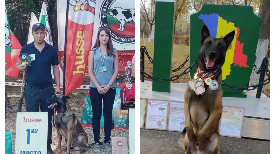 FOTO Cupe, medalii și diplome! Echipă canină a Poliției de Frontieră – dublă campioană la o competiție europeană
