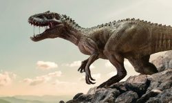 Cum făceau sex dinozaurii? Oamenii de știință tot caută răspunsul și… au dat de o nouă ipoteză