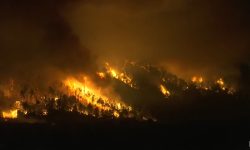 VIDEO Istoria se repetă? Incendii puternice de vegetație în Grecia. Un oraș, evacuat din cauza flăcărilor