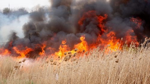 NU dați foc! Peste 100 hectare de vegetație uscată au fost mistuite de foc în ultimele trei zile