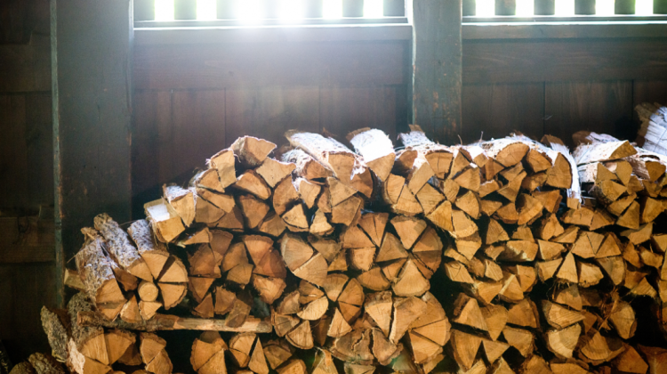 VIDEO Moldova, cu mâna întinsă peste Prut să cumpere lemn de foc! Ce spune Iordanov despre criza energetică