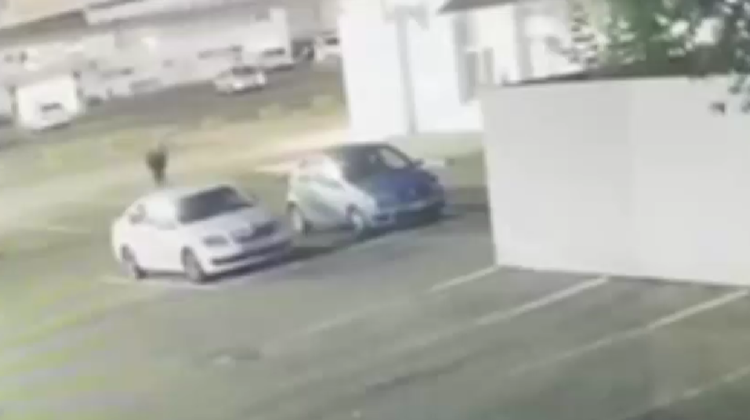 VIDEO dintr-o parcare din Chișinău: Ce se întâmplă noaptea cu o mașină descuiată