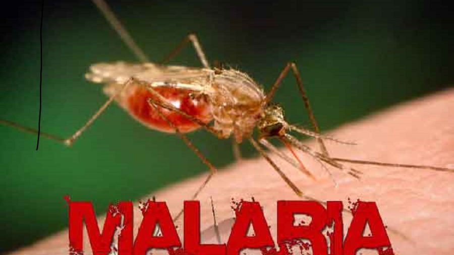 Un nou deces de malarie în Moldova: Tânărul avea doar 26 de ani