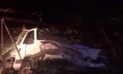 VIDEO Nu a ajuns prea departe! Un barbăt în stare de ebrietate s-a izbit de un copac cu mașina răpită de la serviciu