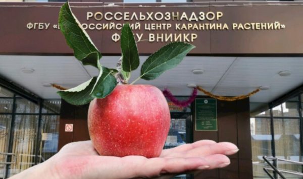 Embargo! De azi Rusia interzice importul de produse vegetale din Moldova