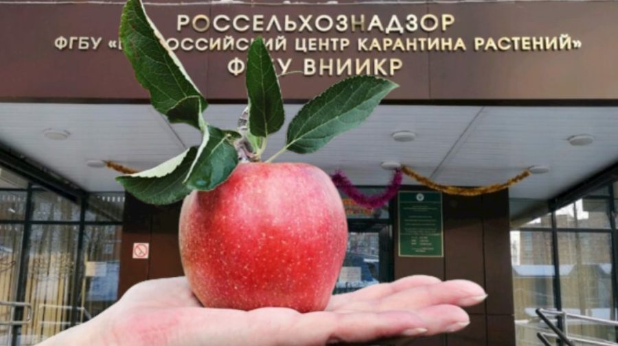 Embargo! De azi Rusia interzice importul de produse vegetale din Moldova