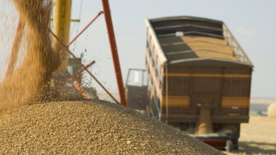 Au găsit hoții de cereale. Ucraina a identificat cine se face vinovat de furtul grâului și cum a fost scos din țară