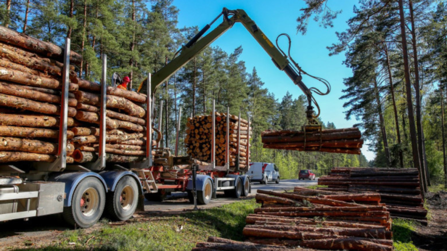 Ungaria dă undă verde pentru tăierii de lemne pentru foc, din cauza scumpirii gazului