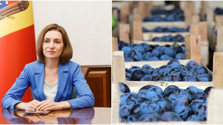 Maia Sandu: Interdicția Rusiei de import a produselor moldovenești trezește bănuieli că ar avea tentă politică