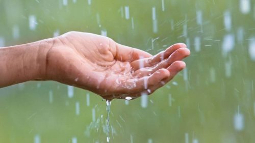 Va salva ploaia din august culturile agricole? Răspunsul specialiștilor în științe agricole